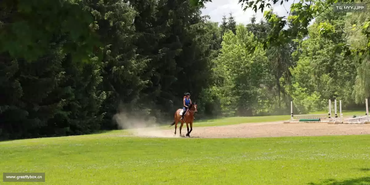 为什么选择我们
