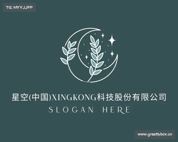 关于星空(中国)xingkong科技股份有限公司